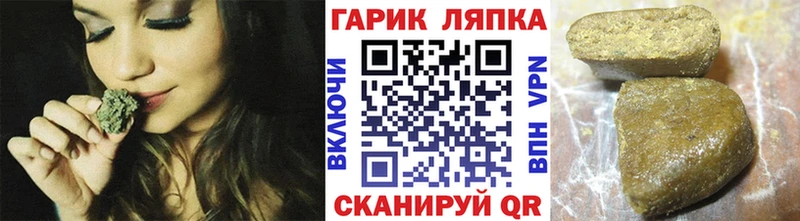 ГАШ Premium  Сальск 