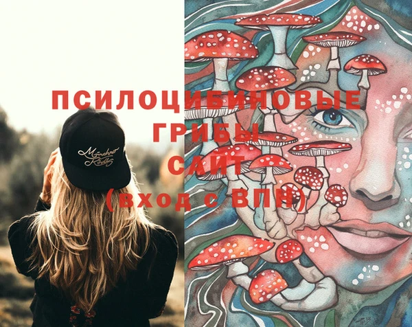 мяу мяу мука Абинск