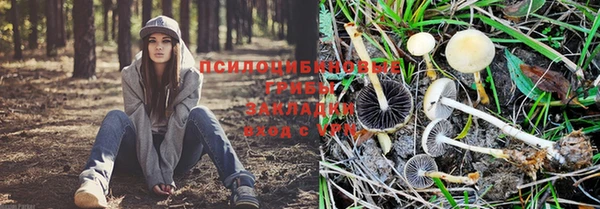 тгк Навашино