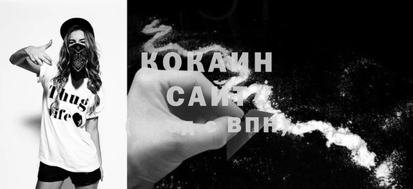 прущие крисы Абаза