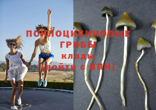 мяу мяу мука Абинск